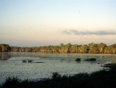 australia - kakadu national park 2.jpg
